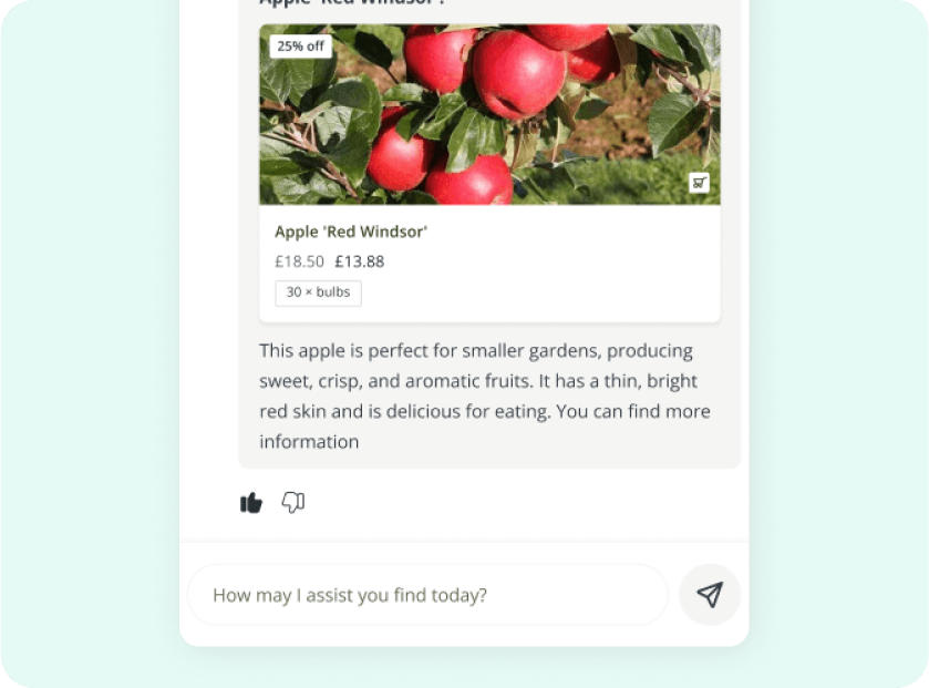 feature-image